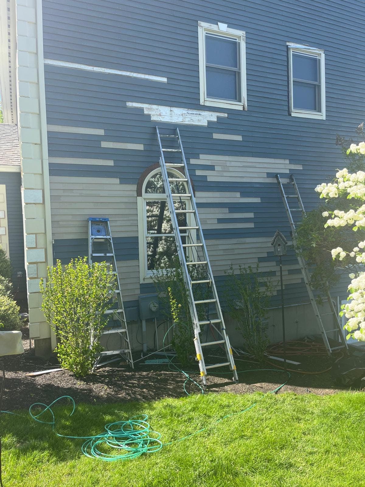 Blue clapboard wall with new primed runs of clapboard and three ladders against it