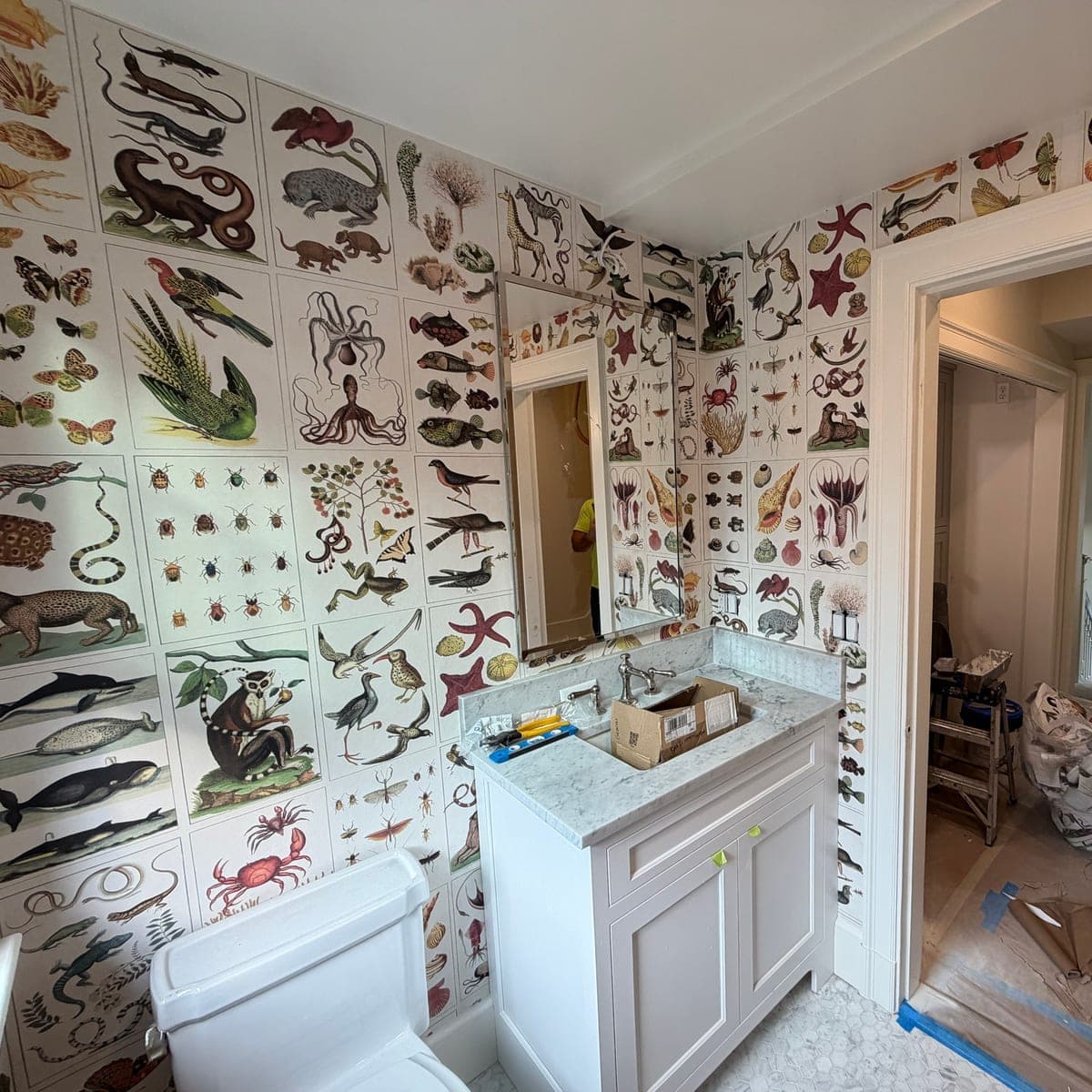The same bathroom from the doorway: natural-history plates over the vanity and mirror, running into the corner